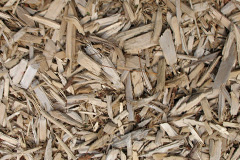 biomass boilers Treveal
